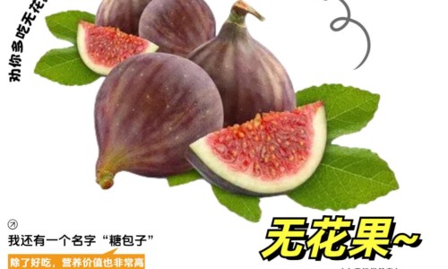 最经典的山西陈醋-【山西陈醋对身体有什么好处】最经典的山西陈醋 - 山西陈醋有什么功效网